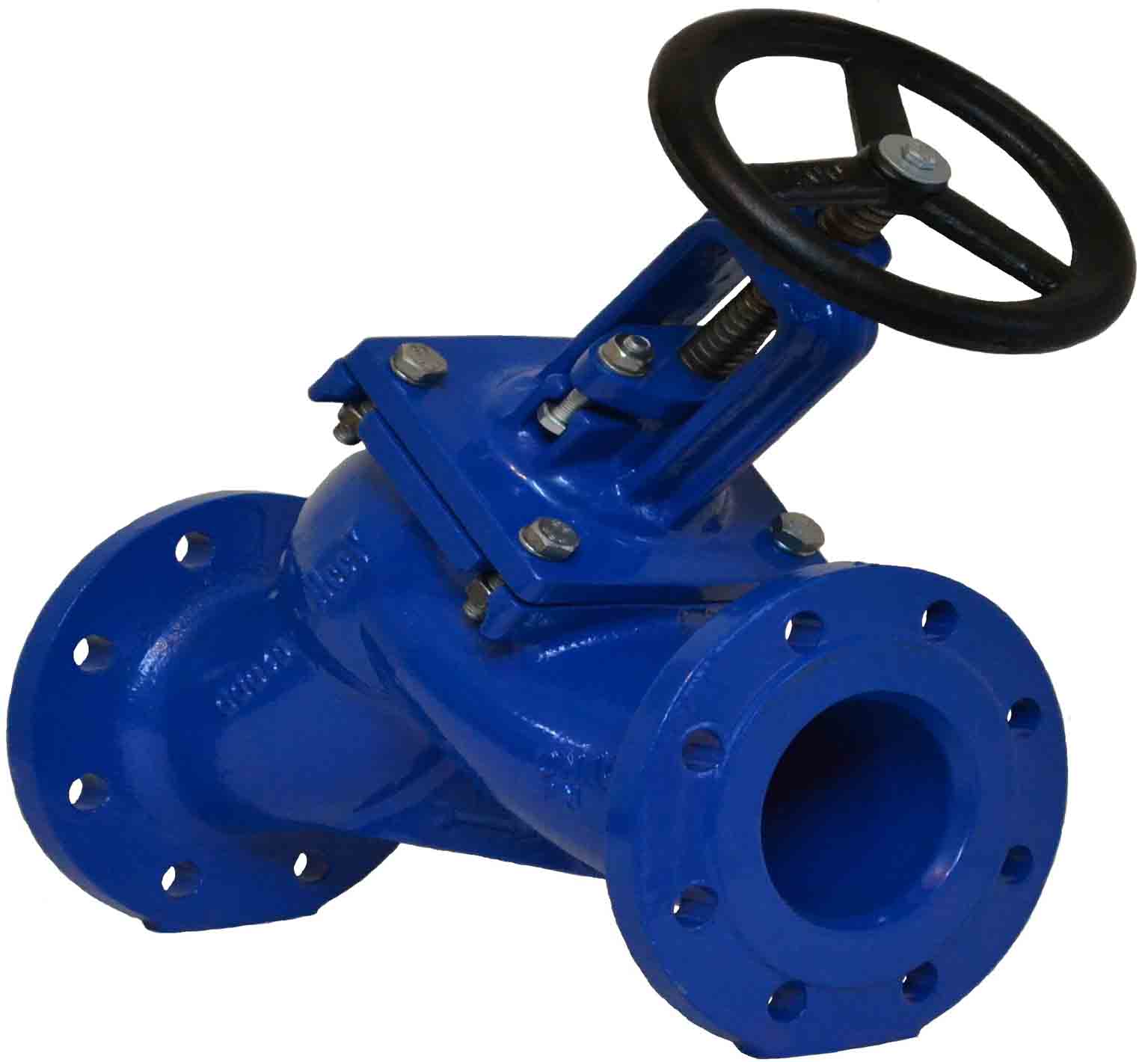 Globe Valve (Y-Pattern)